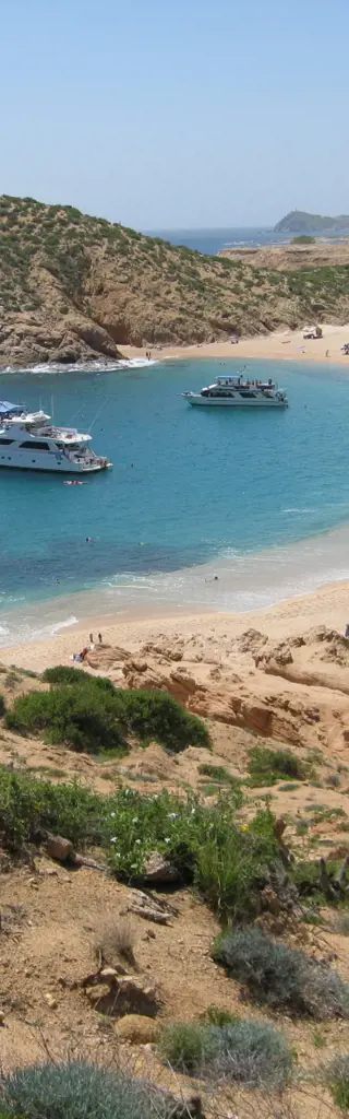 Tauchreisen auf Socorro in Mexiko